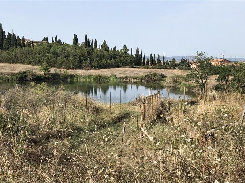 Rustico con giardino, Asciano arbia