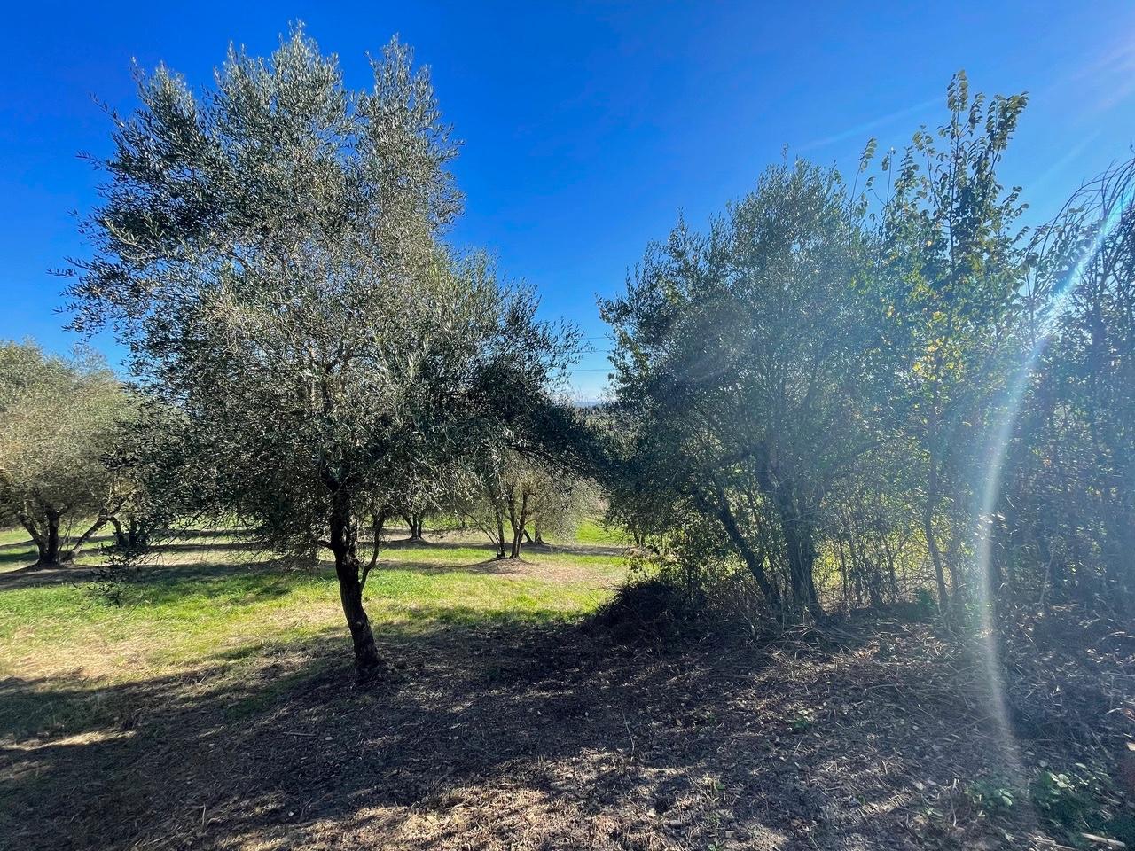 Rustico con giardino a Siena