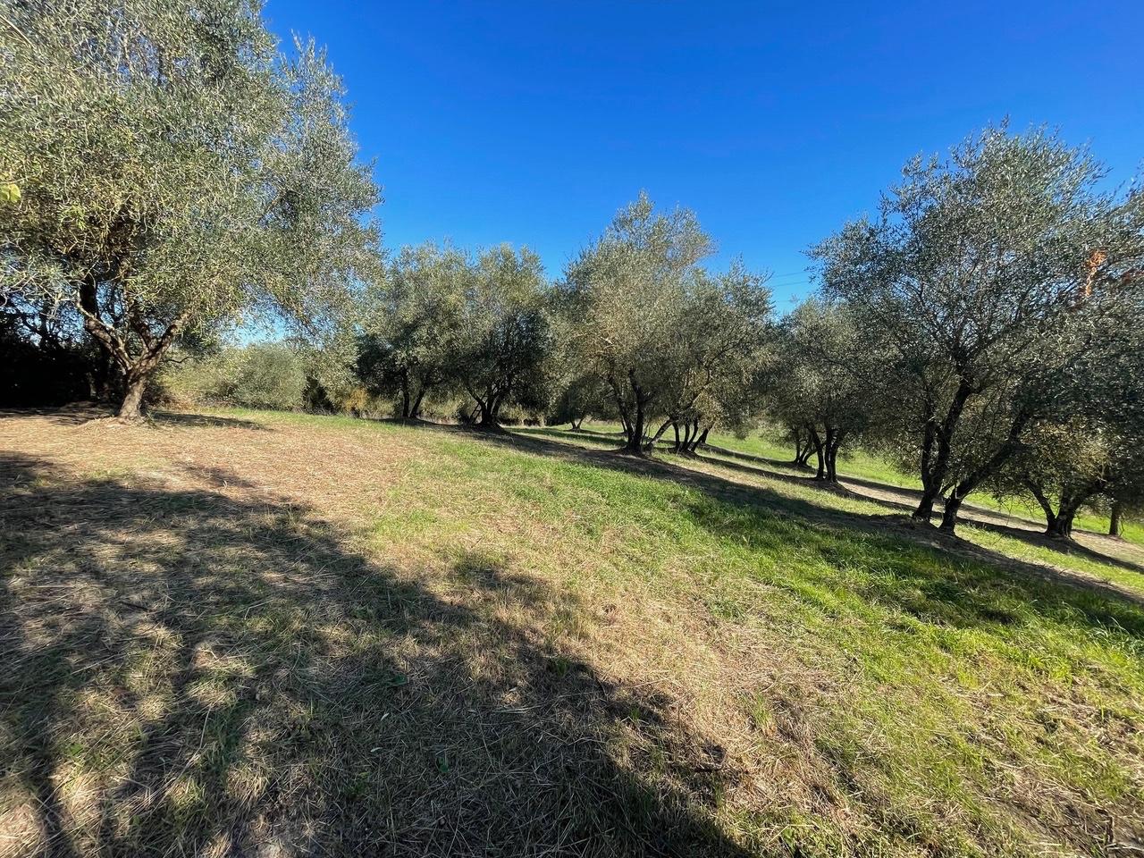 Rustico con giardino a Siena