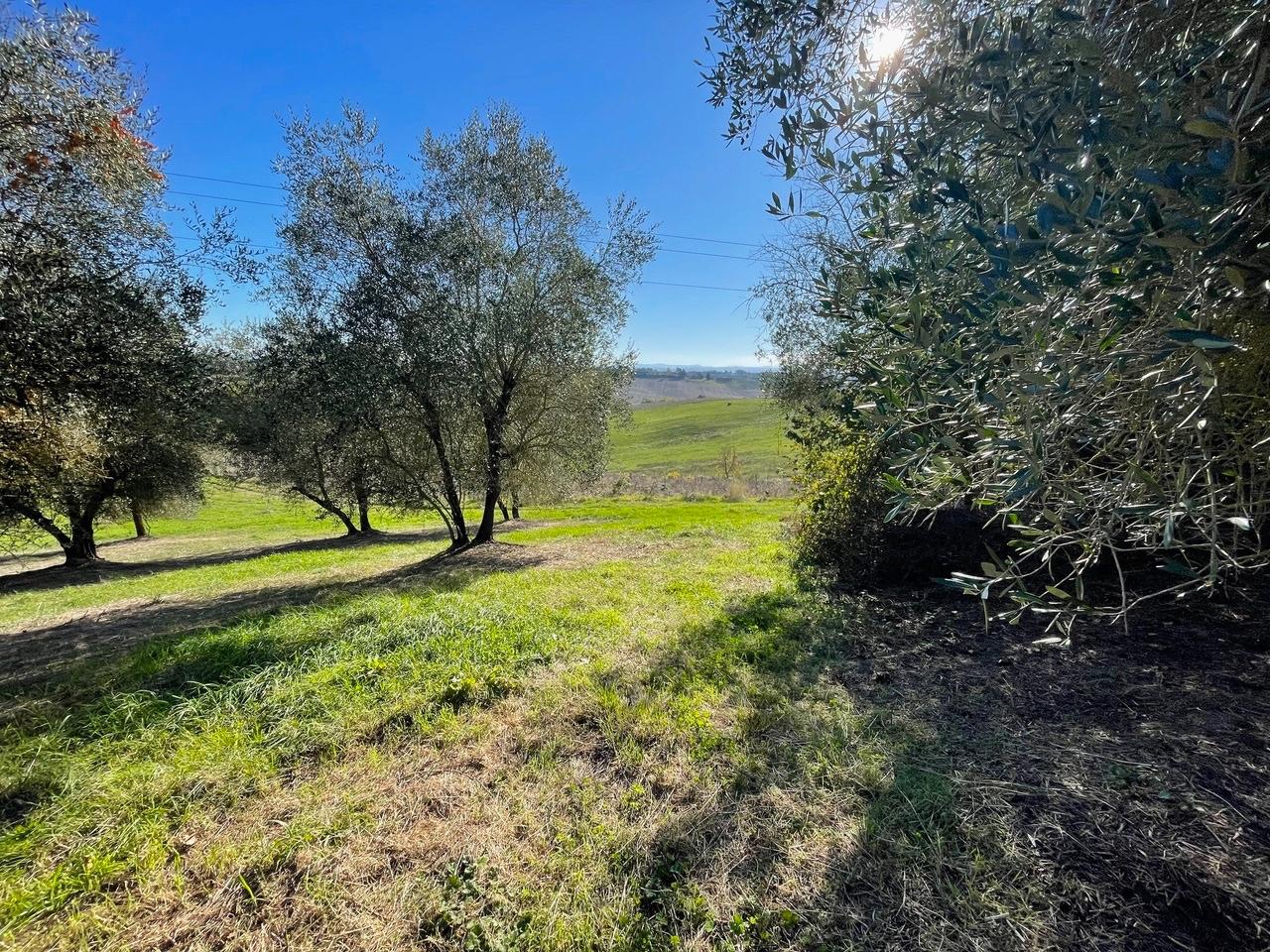 Rustico con giardino a Siena