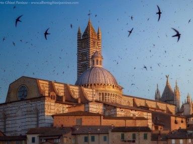 Negozio in vendita, Siena porta ovile