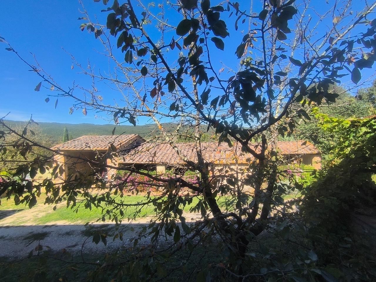 Rustico con giardino a Sovicille