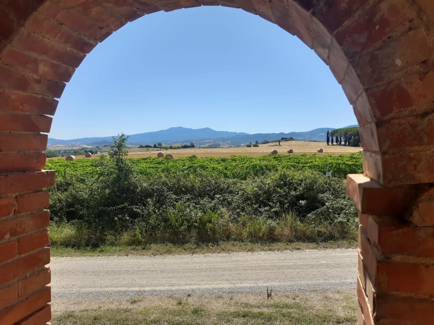 Rustico con giardino a Cinigiano