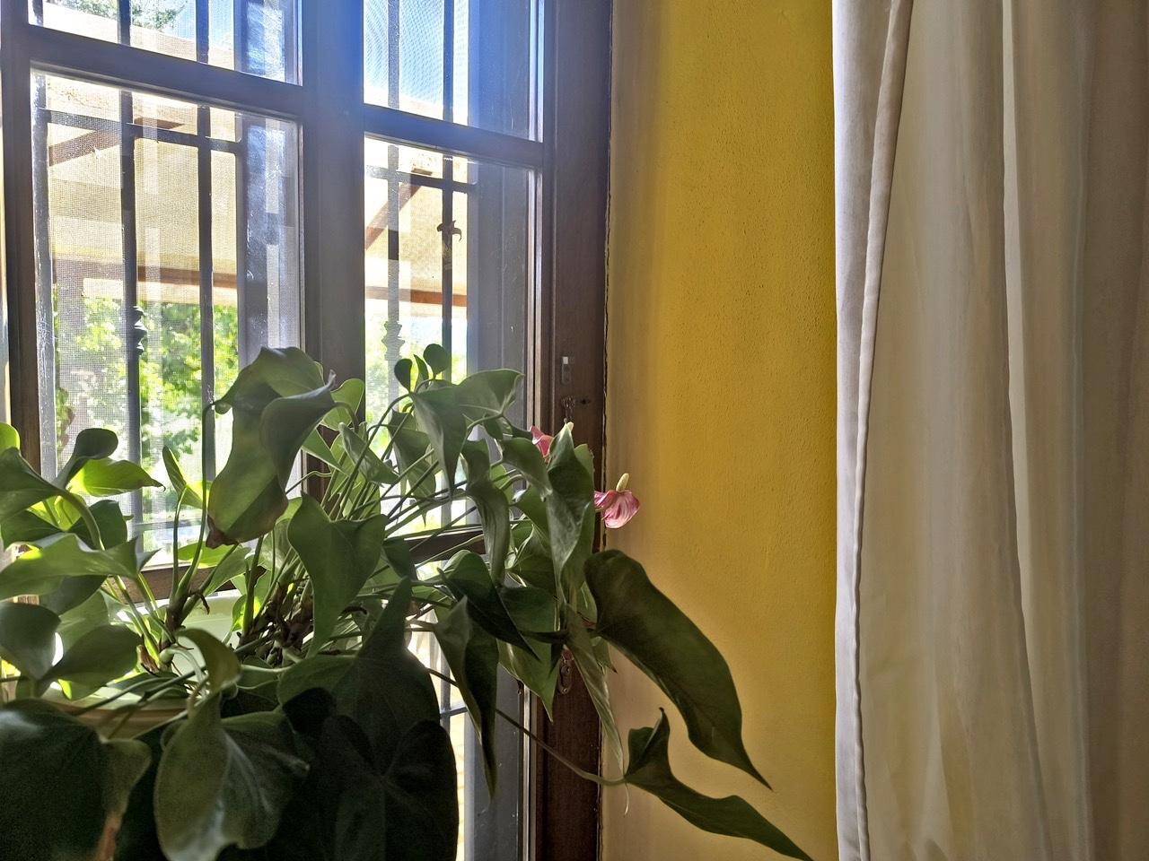 Appartamento con giardino a Asciano