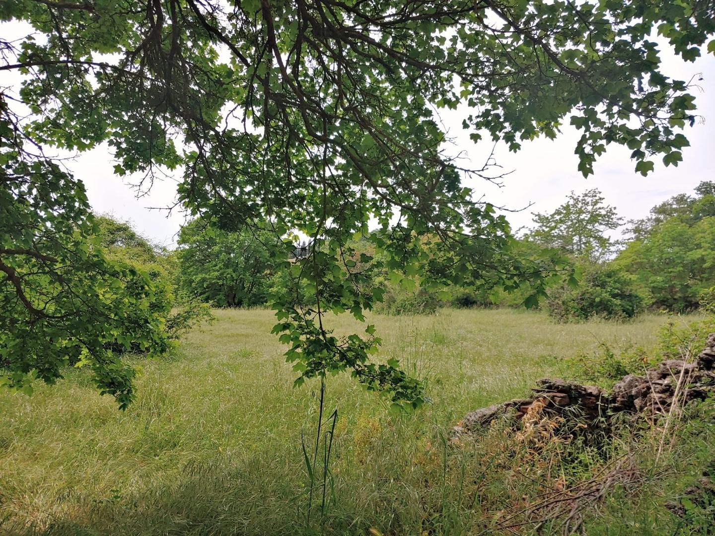 Rustico con giardino a Rapolano Terme