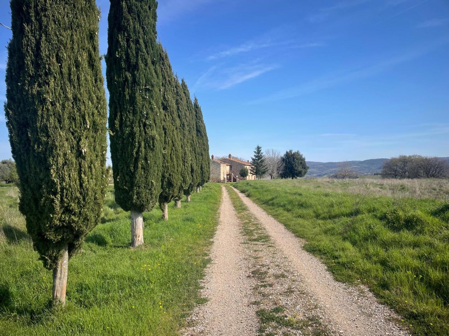 Rustico con giardino a Asciano