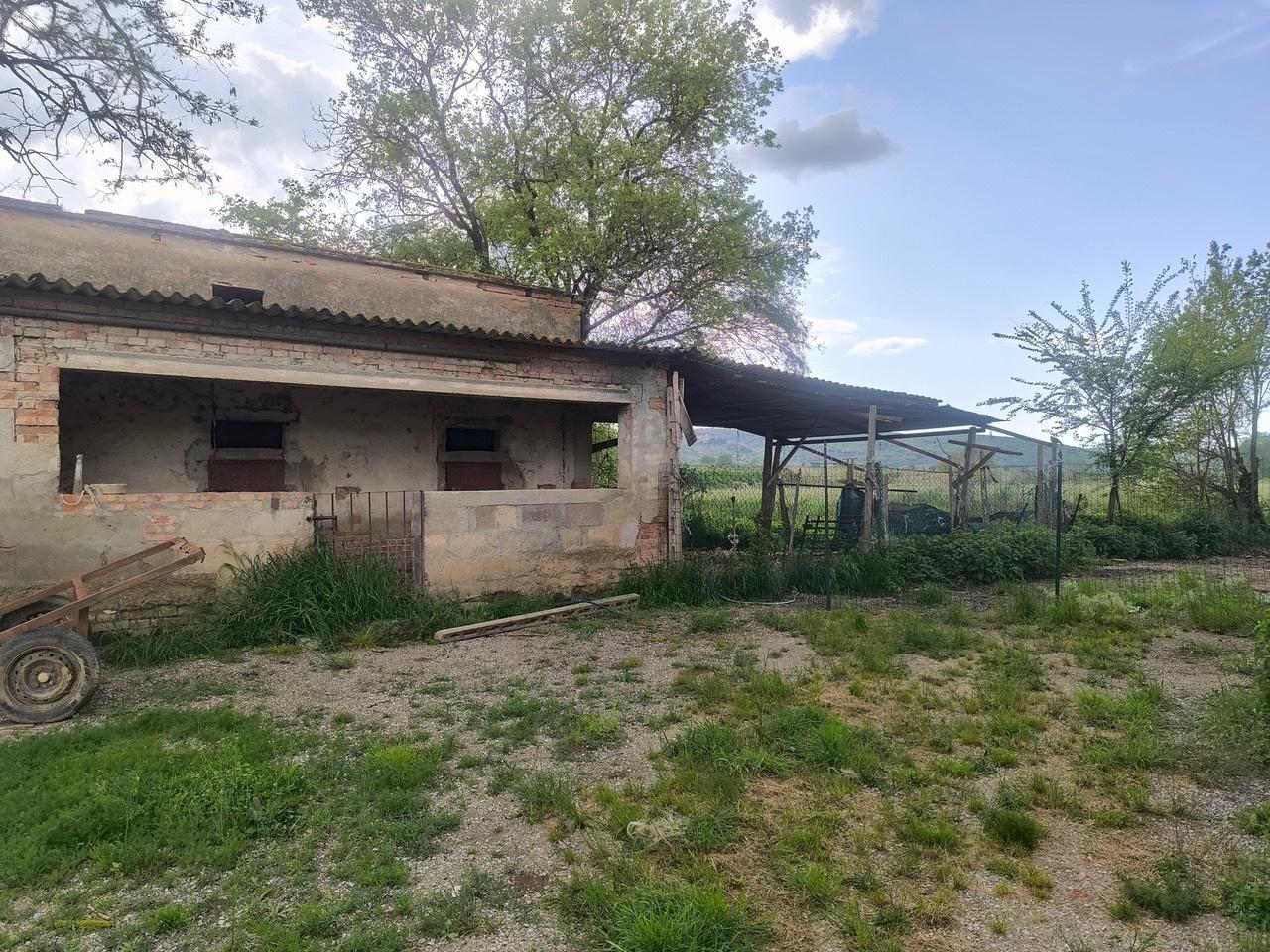 Rustico con giardino a Lucignano