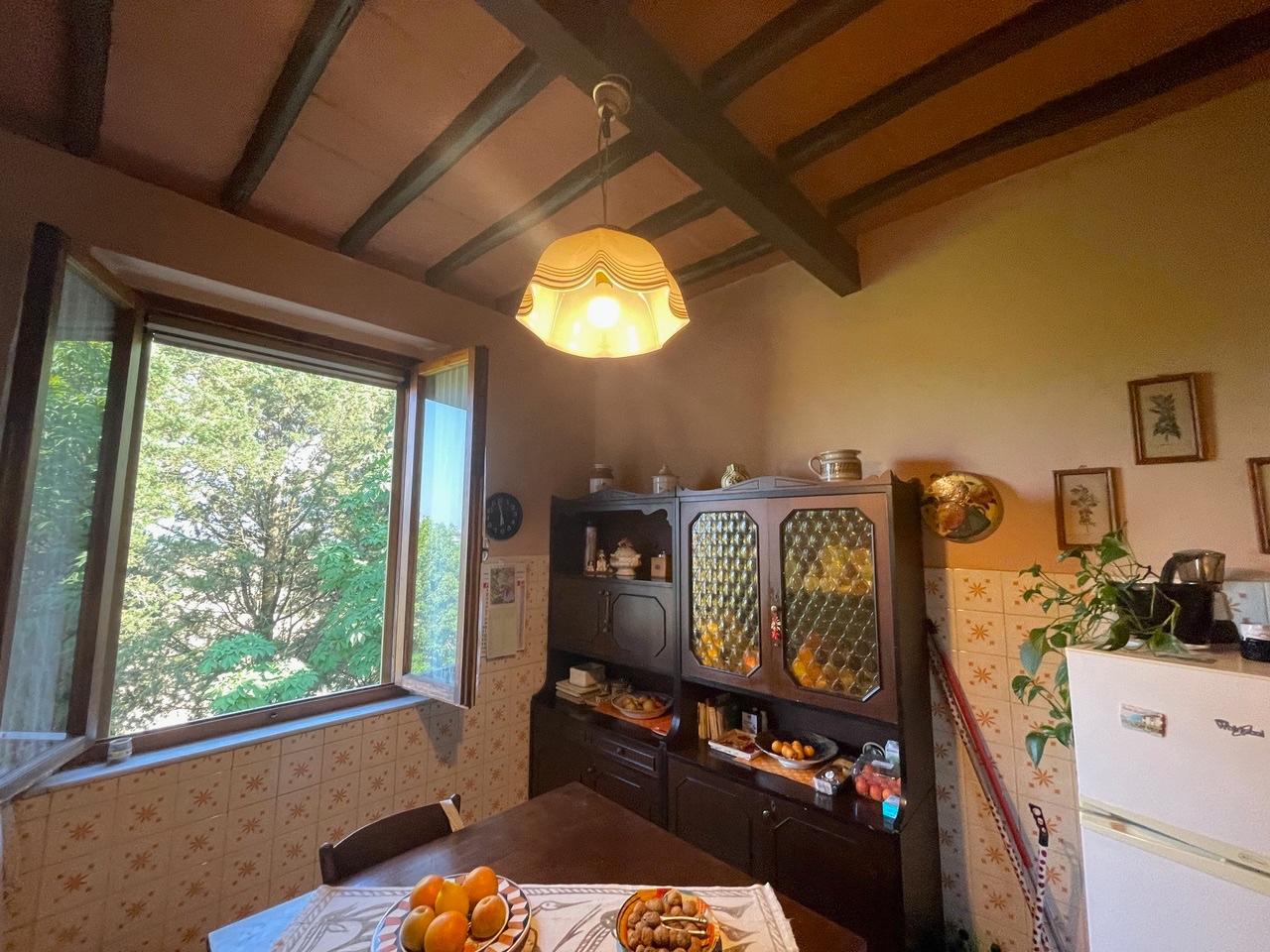 Appartamento con giardino, Siena coroncina