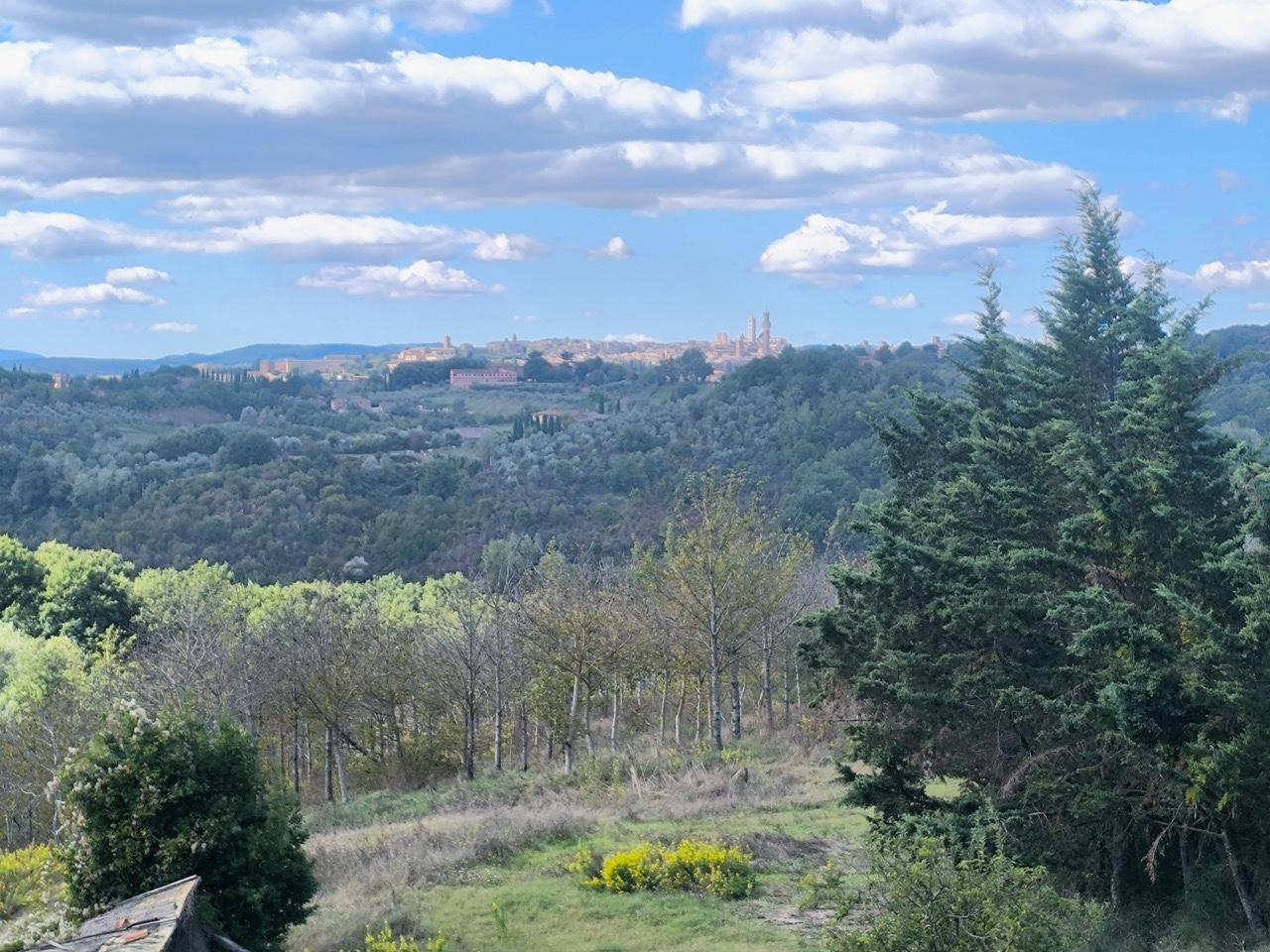 Rustico con giardino a Siena