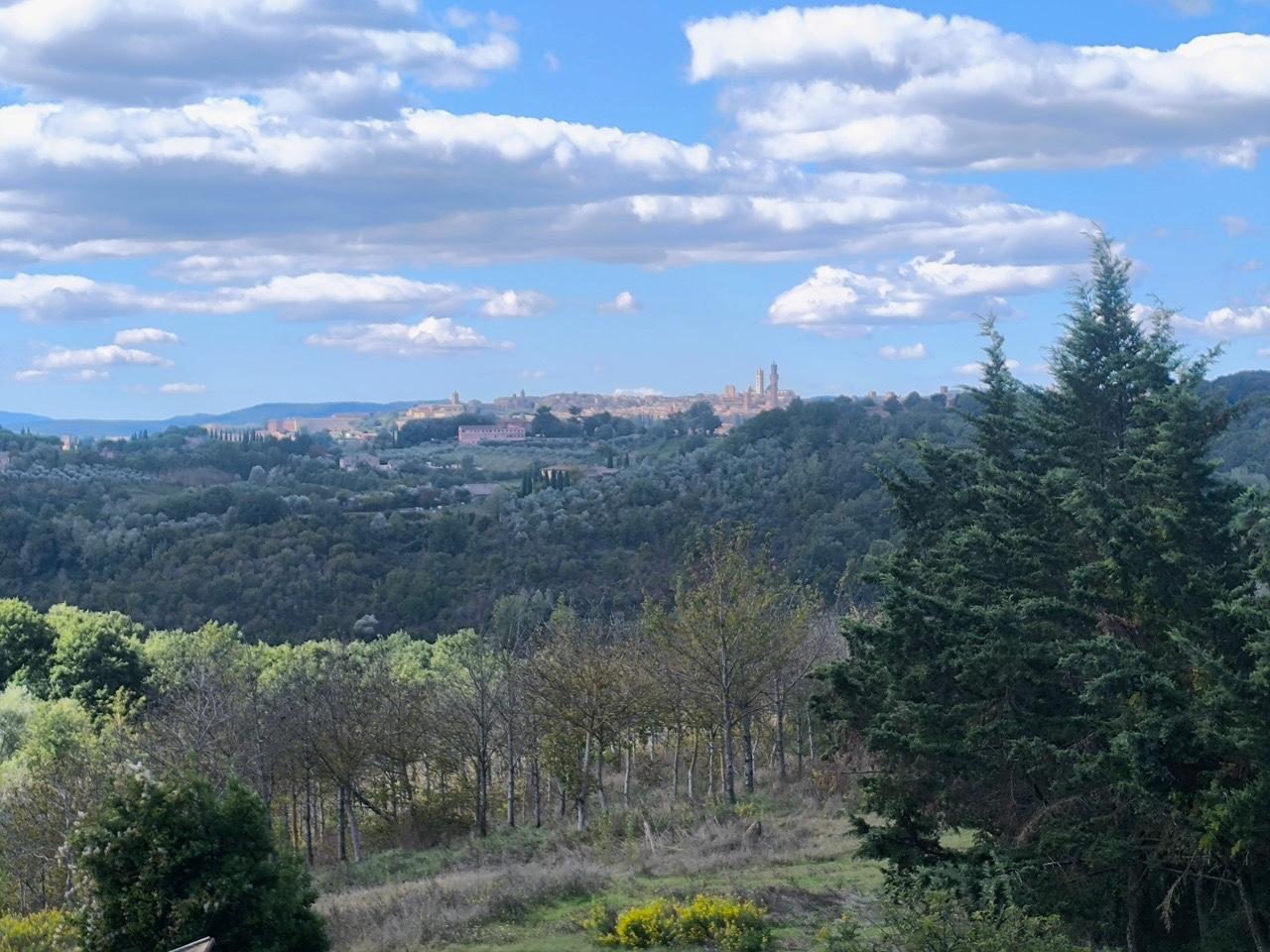 Rustico con giardino a Siena