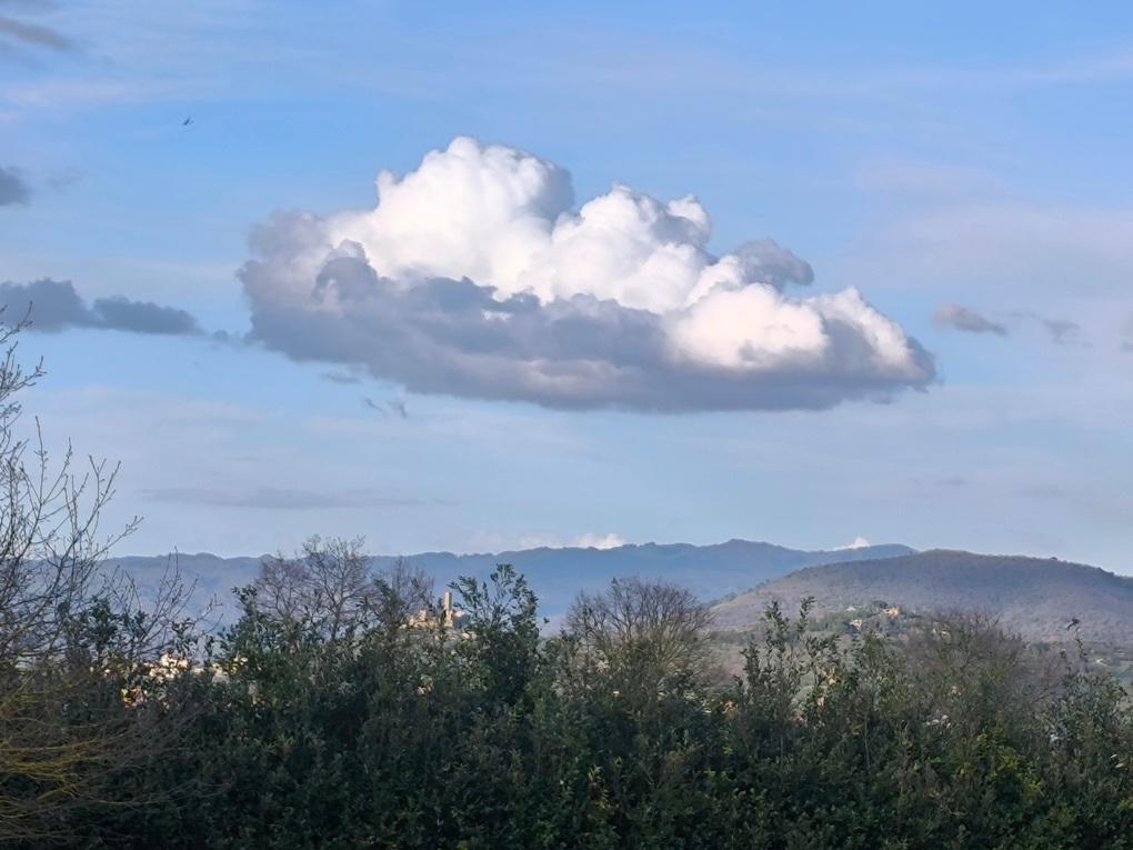 Rustico con giardino a Cortona