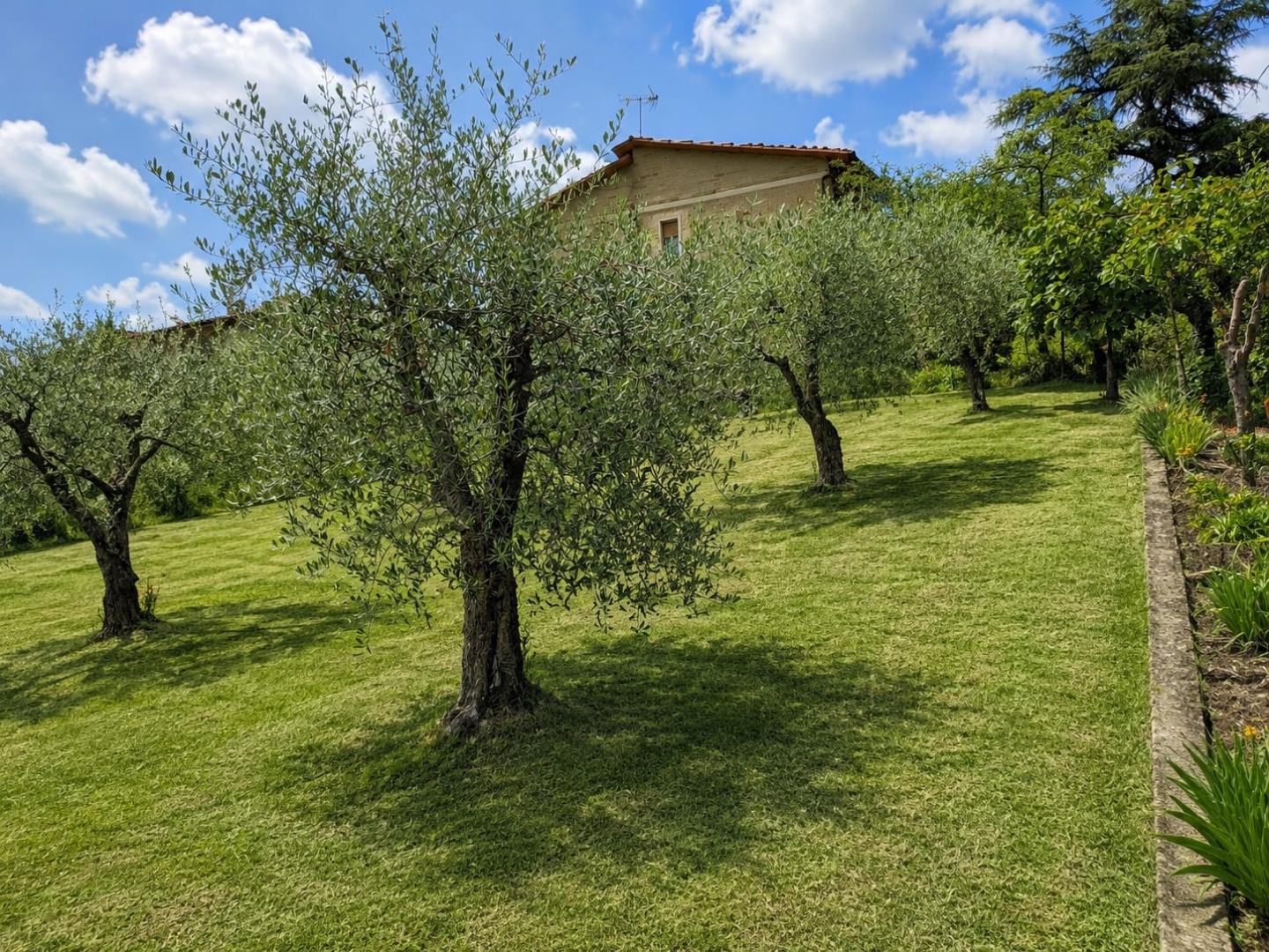 Villa con giardino a Torrita di Siena