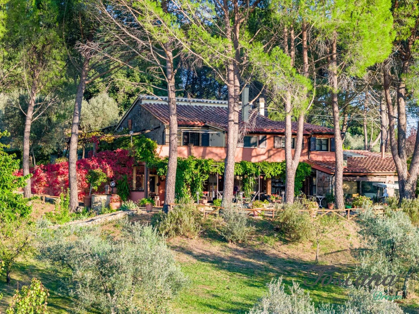 Rustico con giardino, Roccastrada roccatederighi