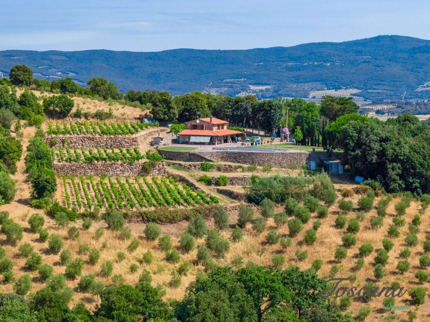 Villa vista mare a Massa Marittima