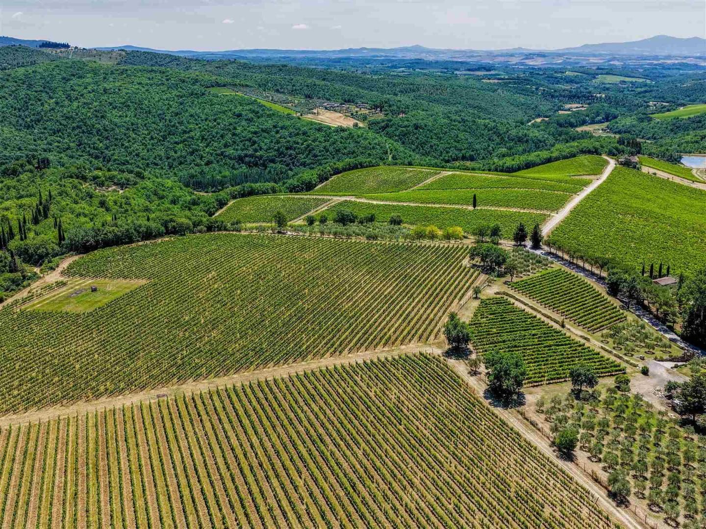 Casa indipendente con giardino, Gaiole in Chianti san sano