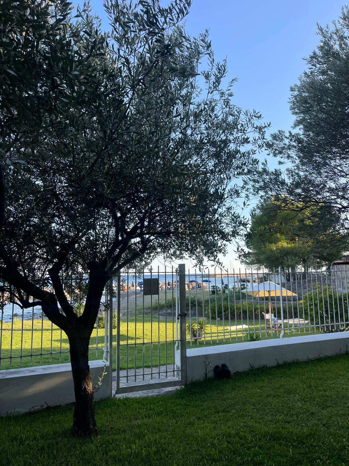 Villa in vendita, San Giovanni a Piro scario