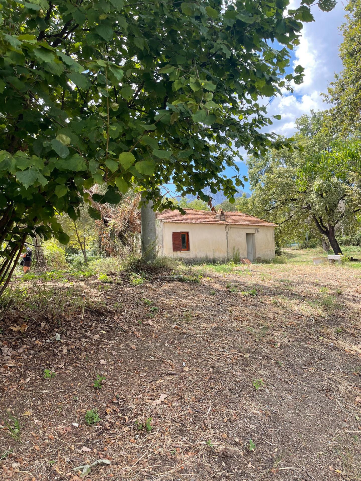 Rustico con giardino, Santa Marina policastro bussentino