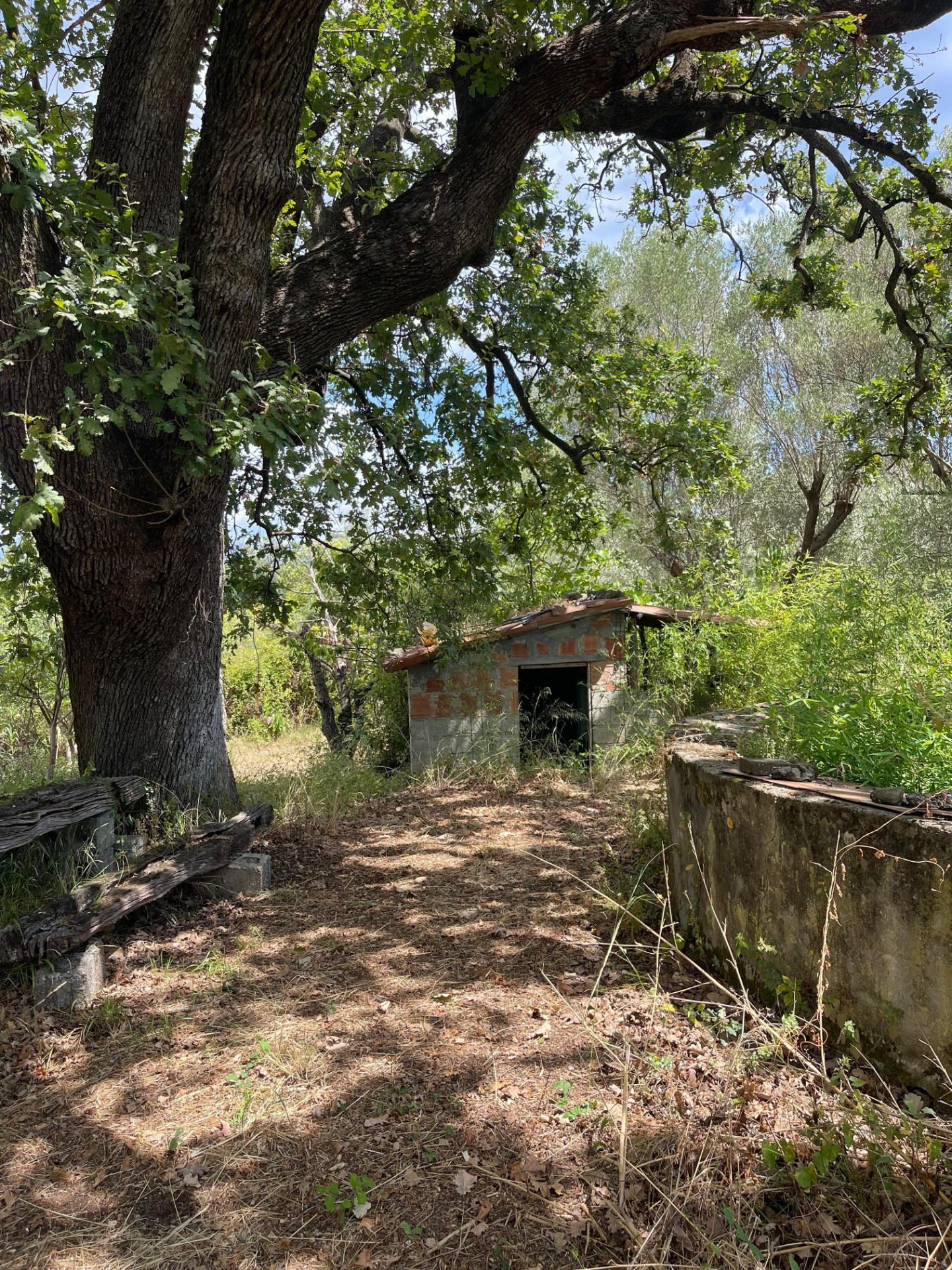 Rustico con giardino, Santa Marina policastro bussentino