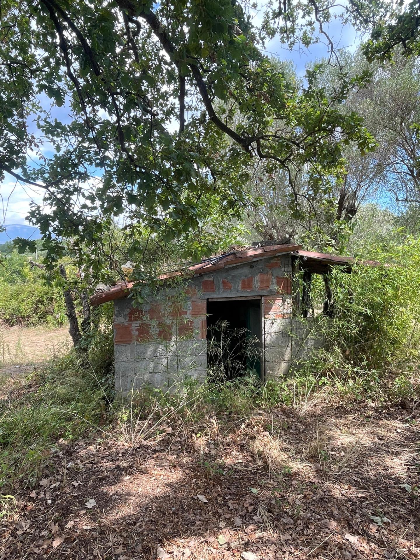 Rustico con giardino, Santa Marina policastro bussentino