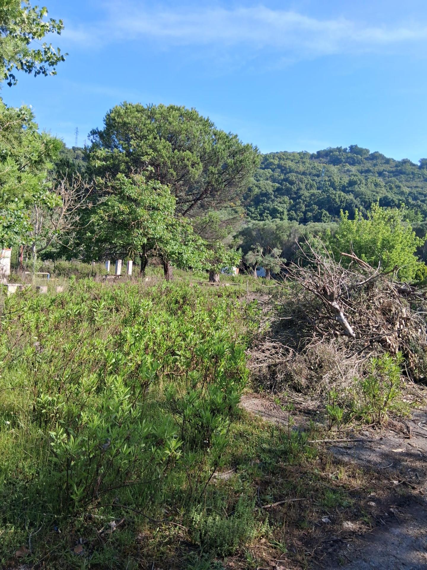 Terreno Edificabile in vendita, Ispani capitello