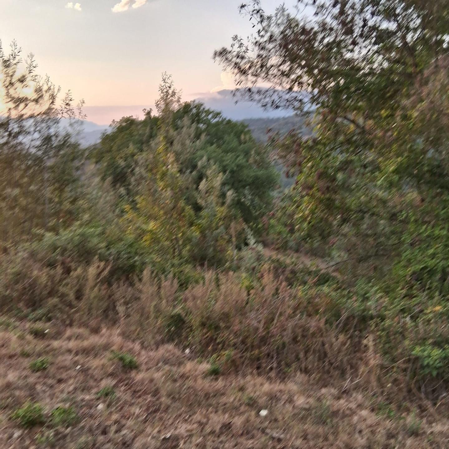 Villa in vendita, Morigerati sicili