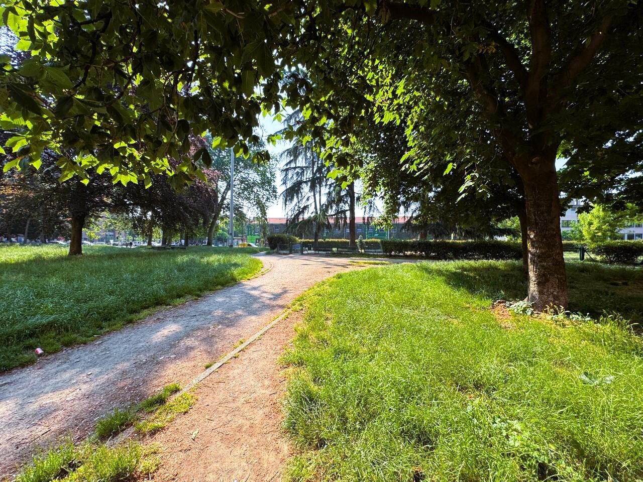 Monolocale in affitto in via dei tulipani 1, Milano