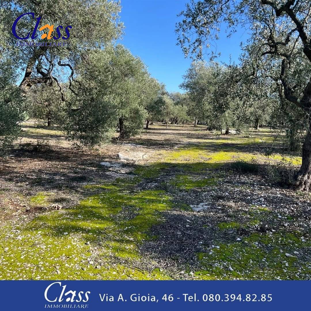 Terreno Agricolo in vendita a Giovinazzo