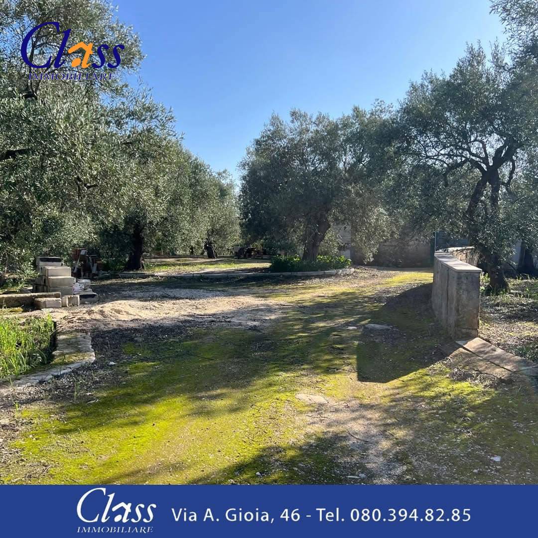 Terreno Agricolo in vendita a Giovinazzo