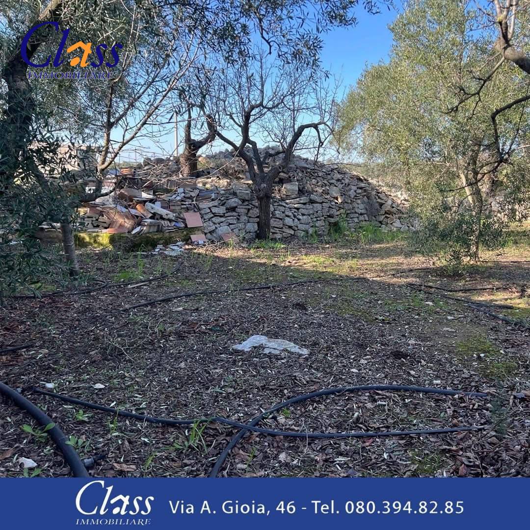 Terreno Agricolo in vendita a Giovinazzo