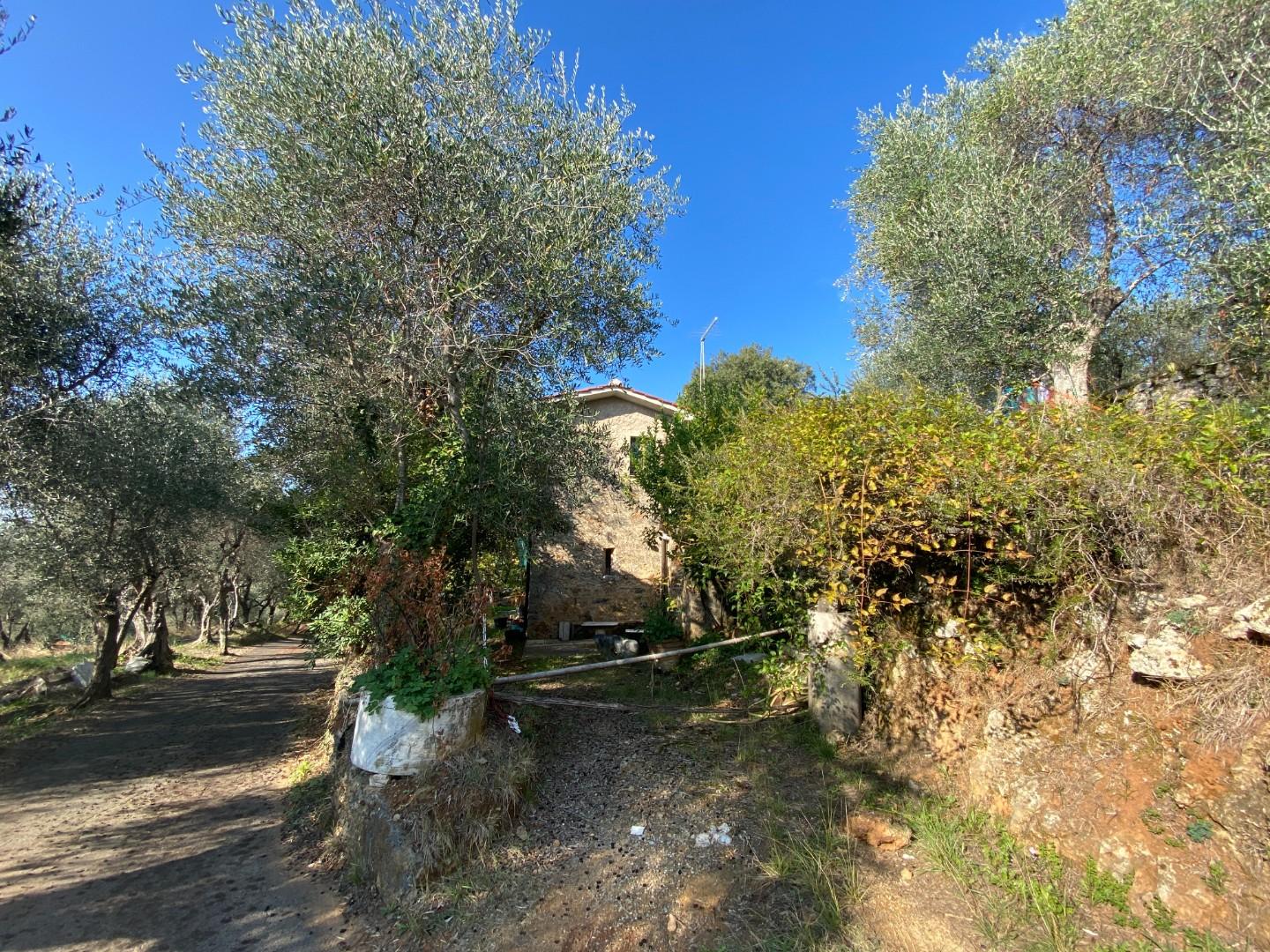 Rustico vista mare, Pietrasanta capezzano
