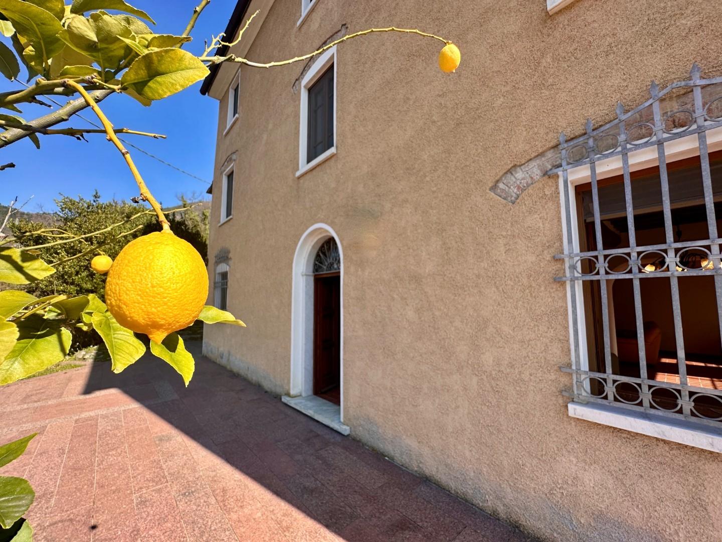 Rustico in vendita, Pietrasanta strettoia