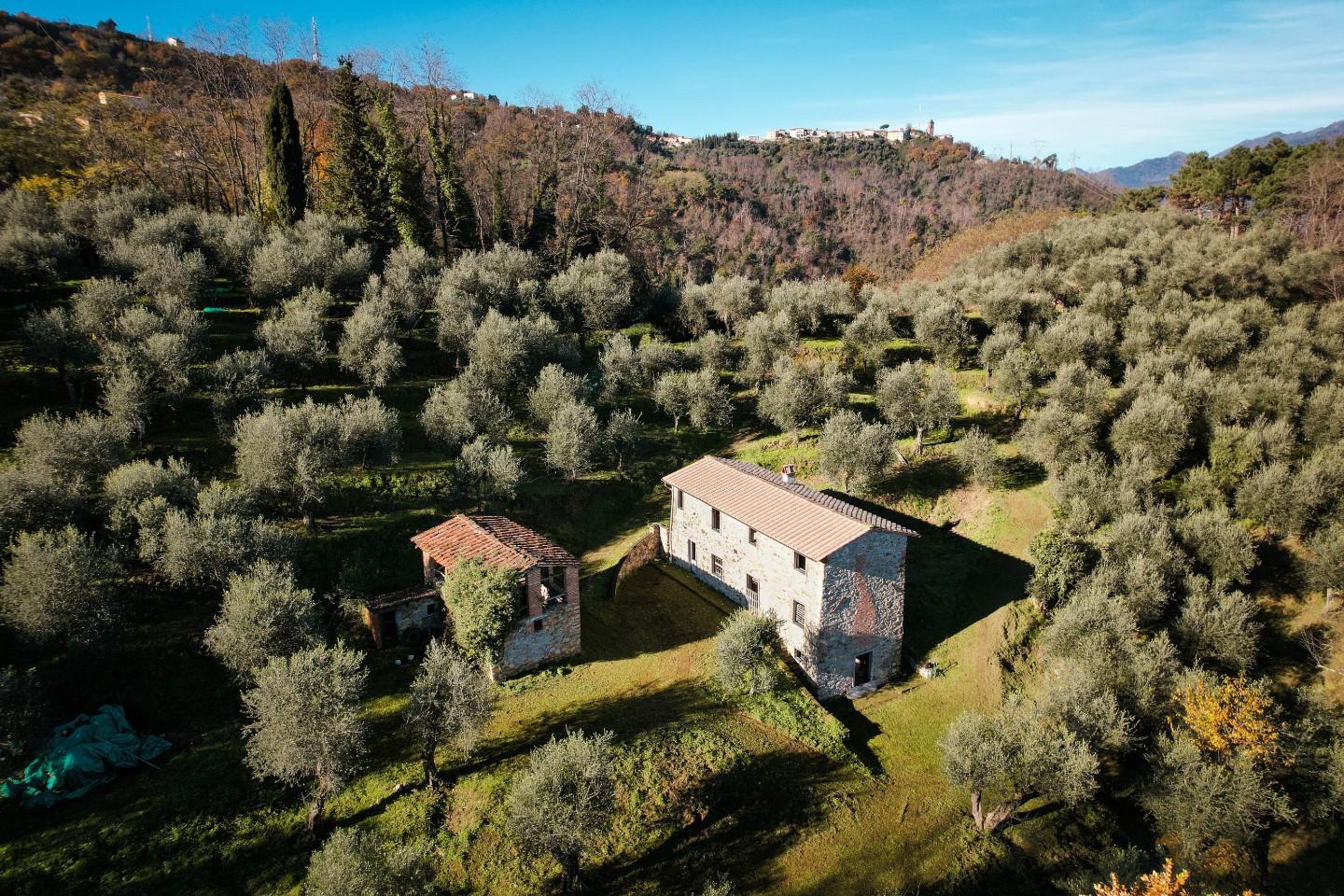 Rustico ristrutturato, Massarosa corsanico