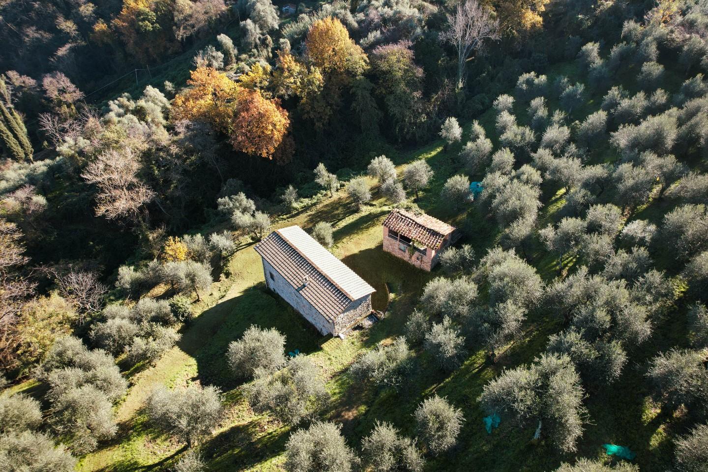 Rustico ristrutturato, Massarosa corsanico