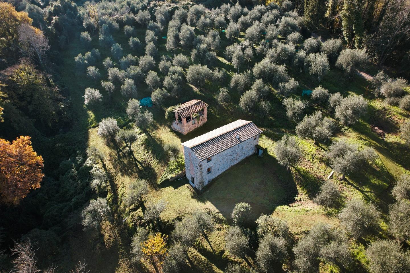 Rustico ristrutturato, Massarosa corsanico
