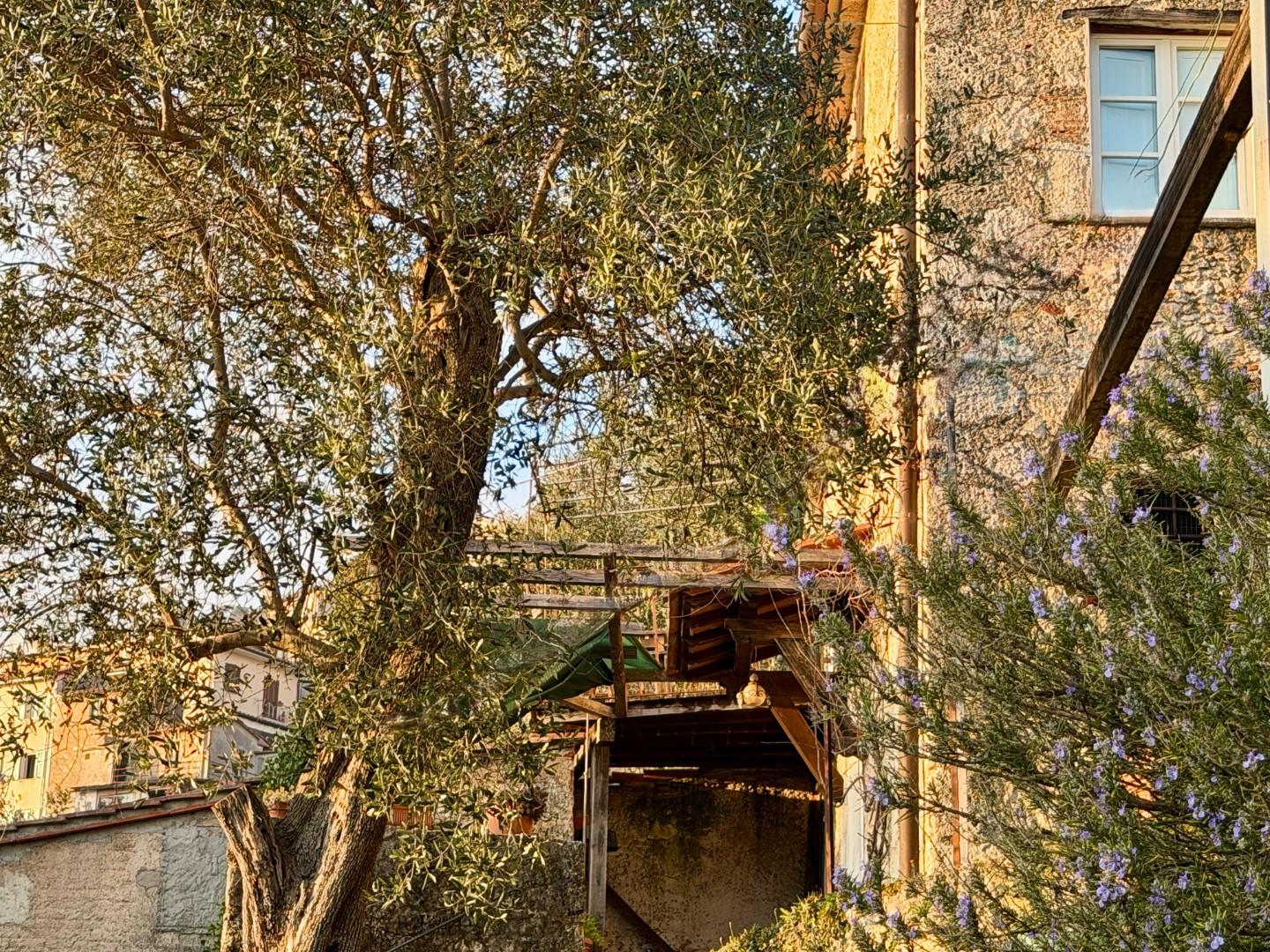 Casa indipendente vista mare, Pietrasanta capezzano