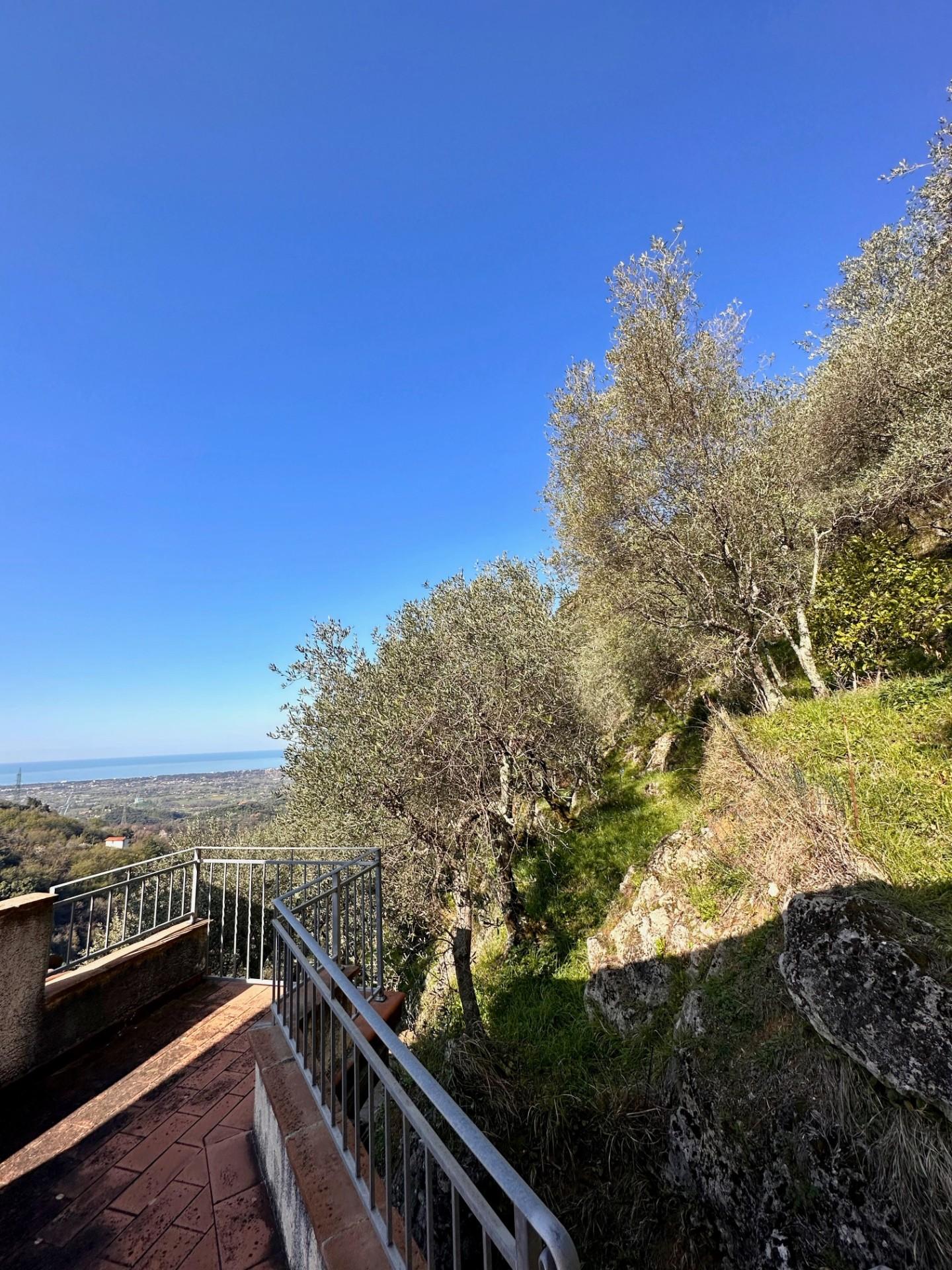Rustico vista mare, Camaiore monteggiori