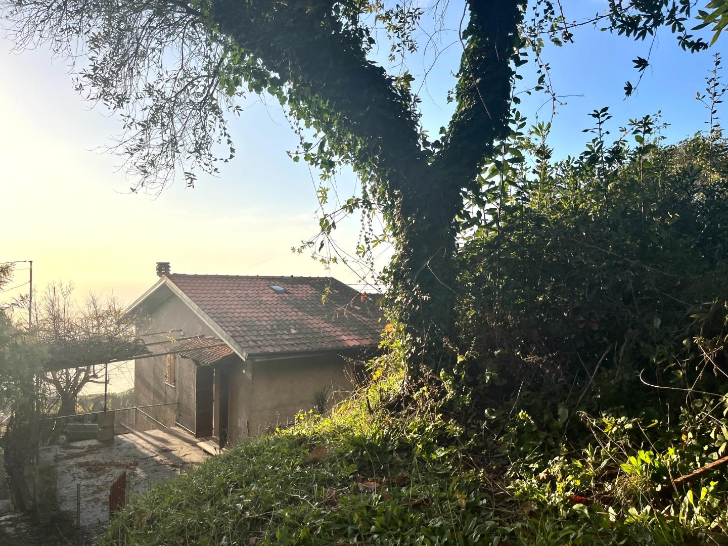 immagine annuncio 4 di 6
