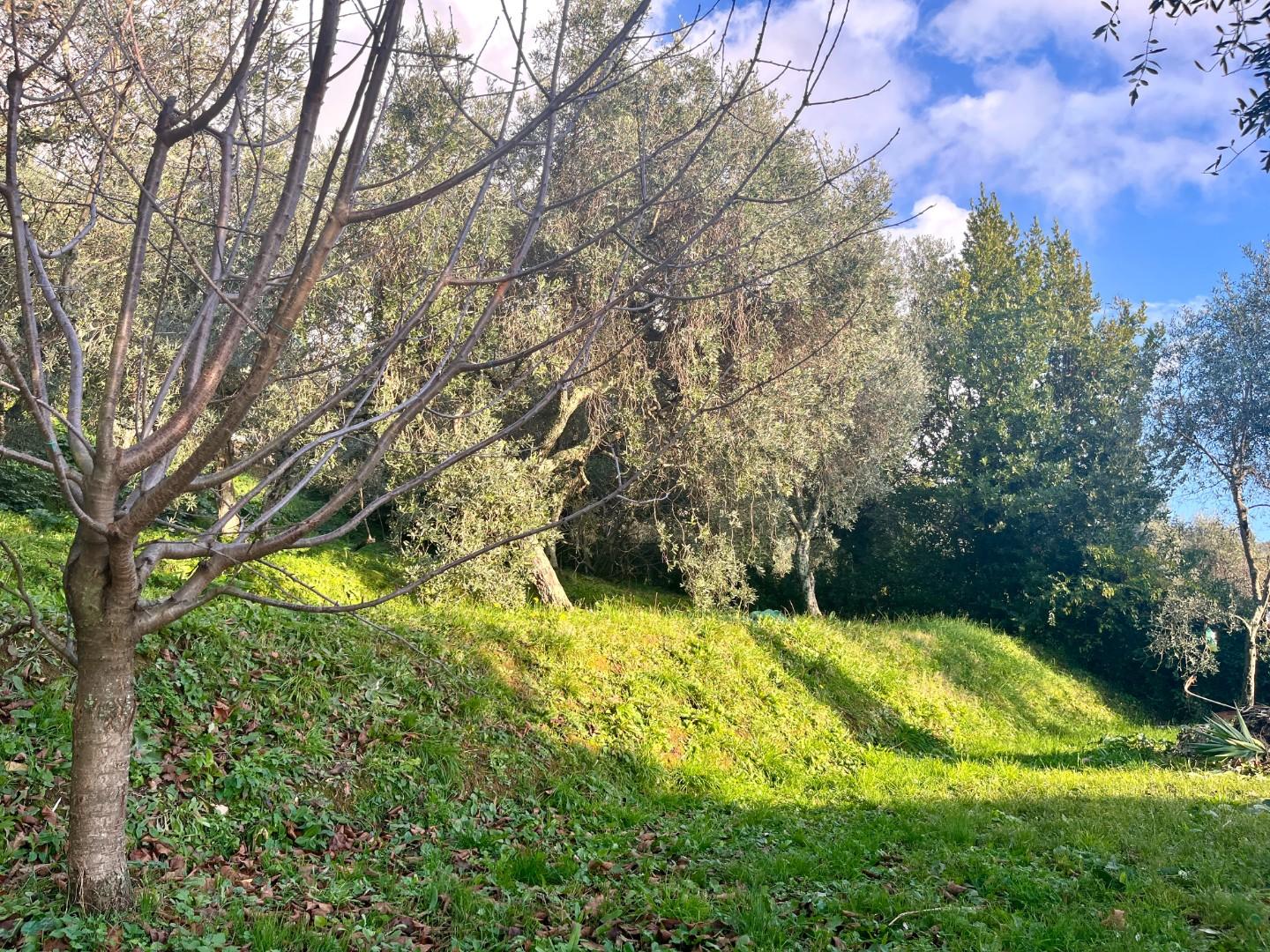 immagine annuncio 5 di 6