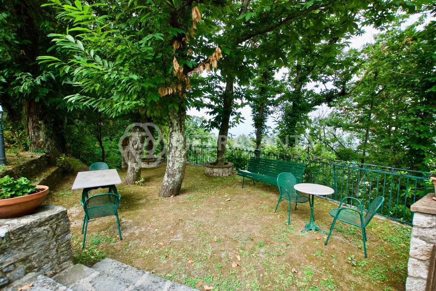 Rustico con giardino, Pietrasanta capriglia