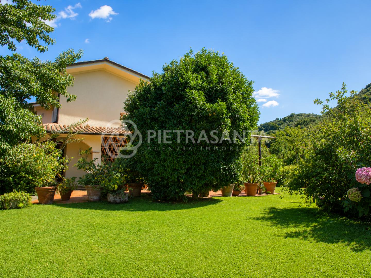 Villa con giardino, Pietrasanta valdicastello carducci