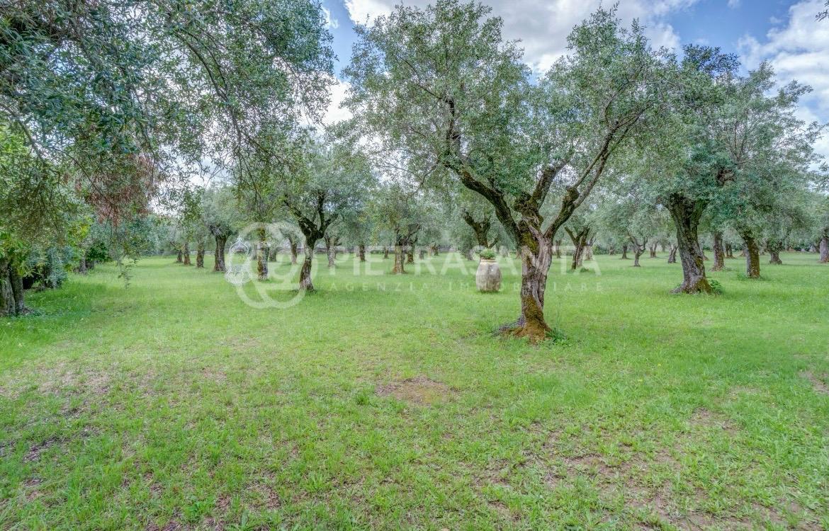 Villa arredata in affitto, Seravezza querceta