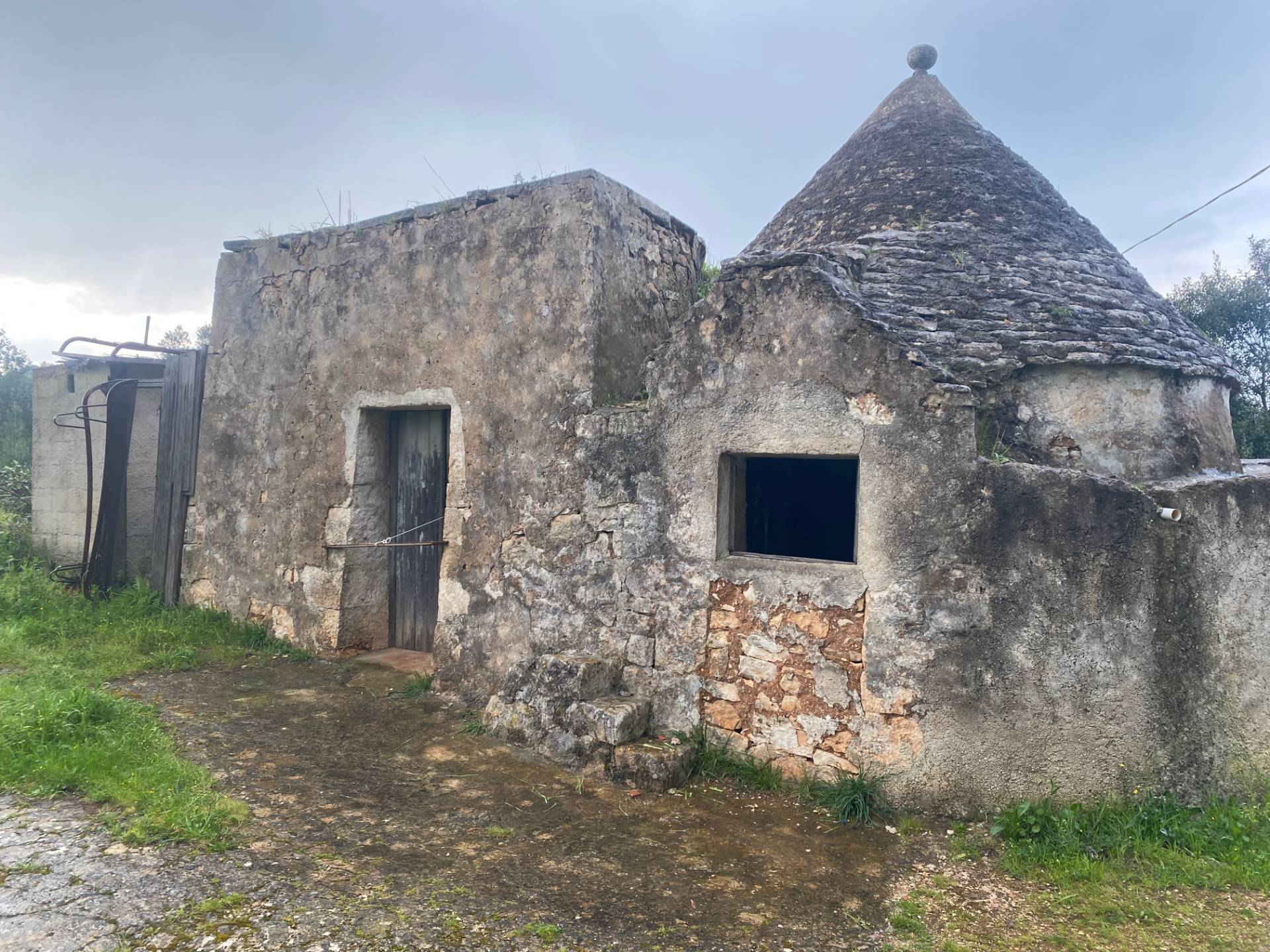 Terreno Agricolo in vendita a Martina Franca