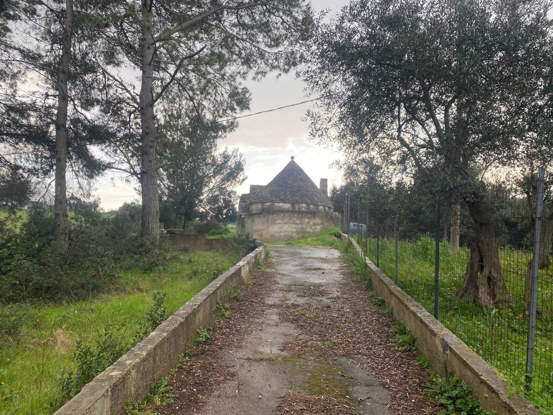 Terreno Agricolo in vendita a Martina Franca