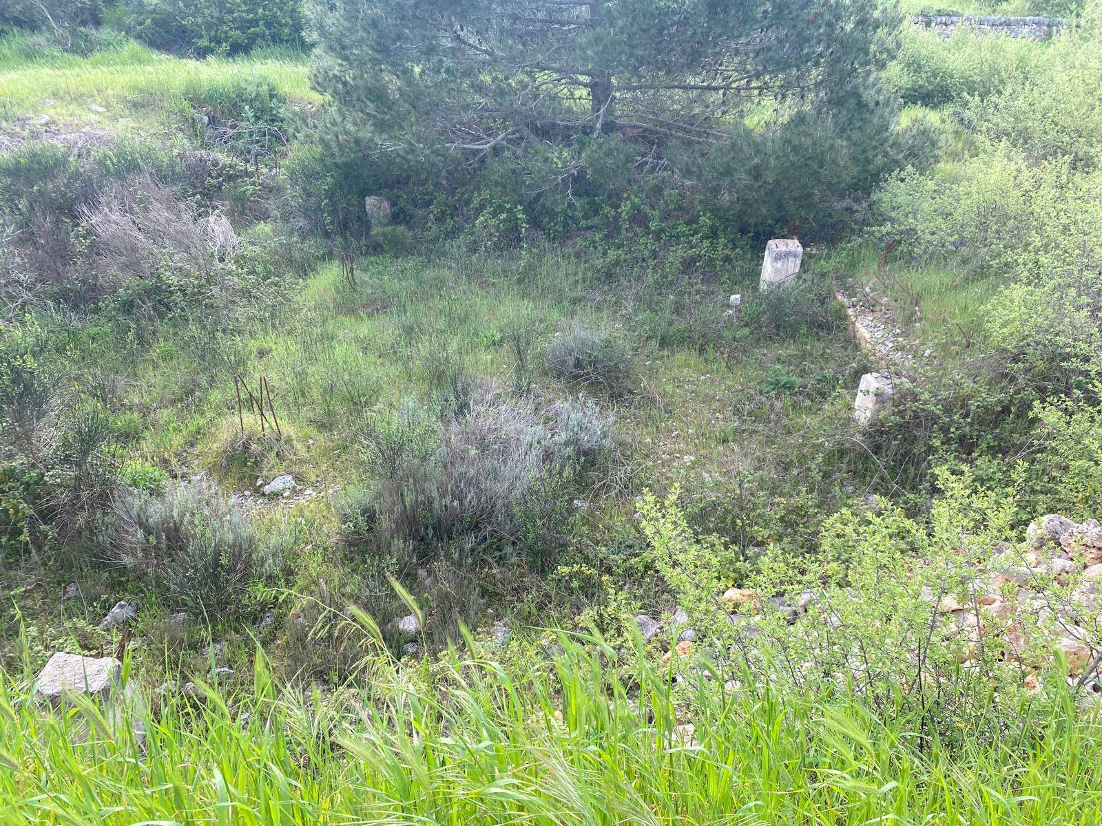 Terreno Agricolo in vendita a Martina Franca