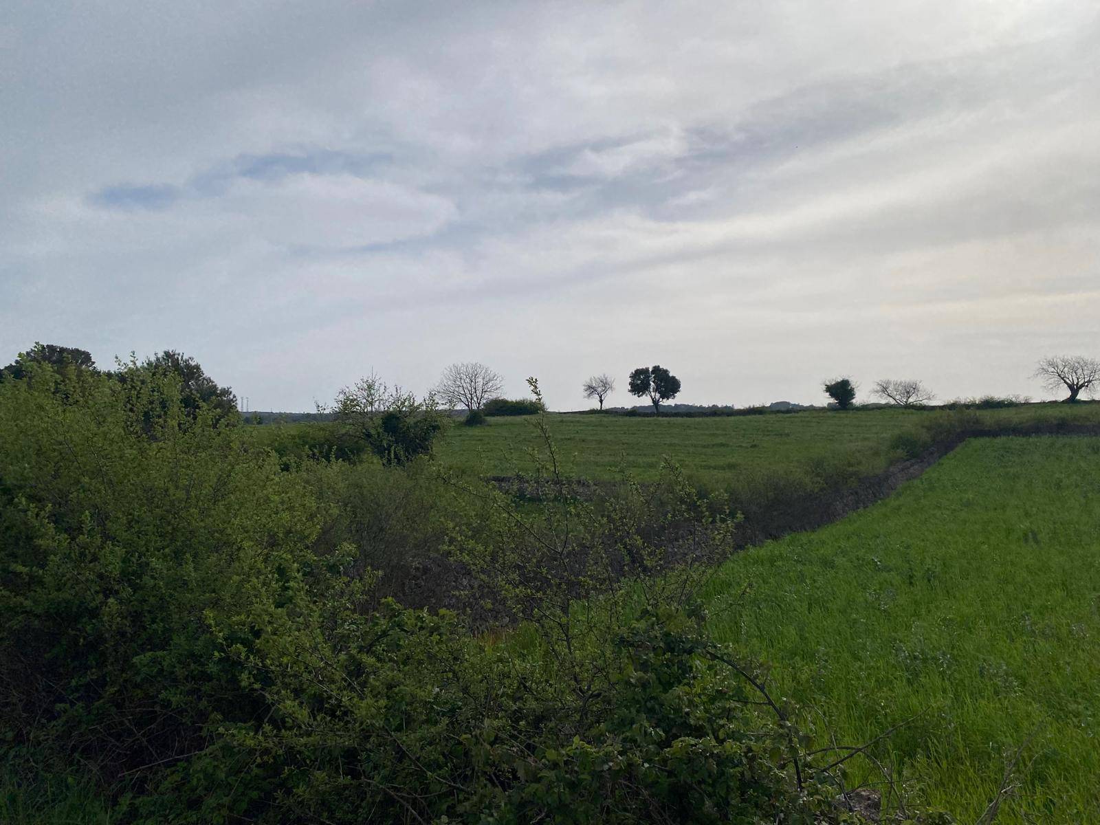 Terreno Agricolo in vendita a Martina Franca