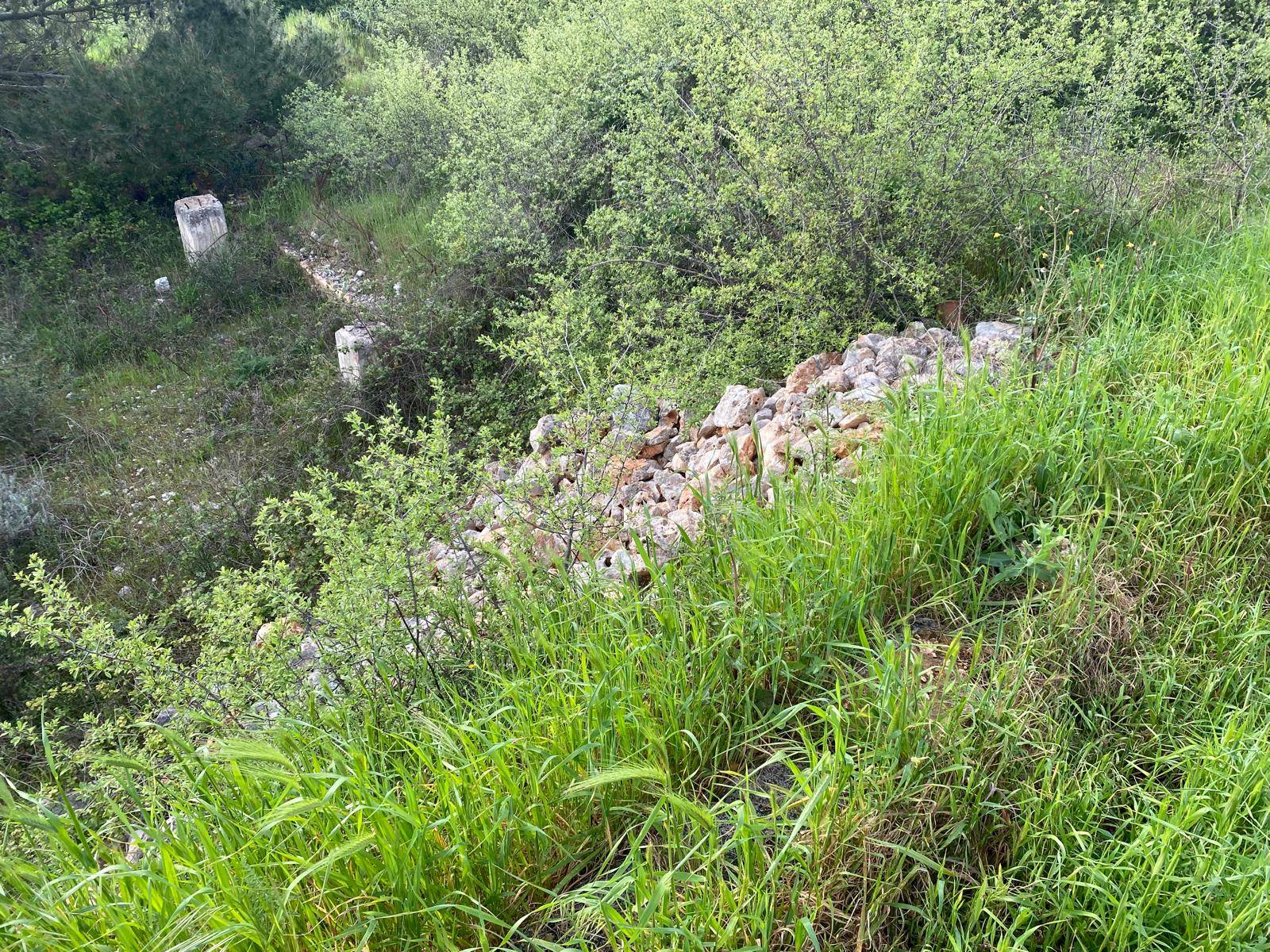 Terreno Agricolo in vendita a Martina Franca