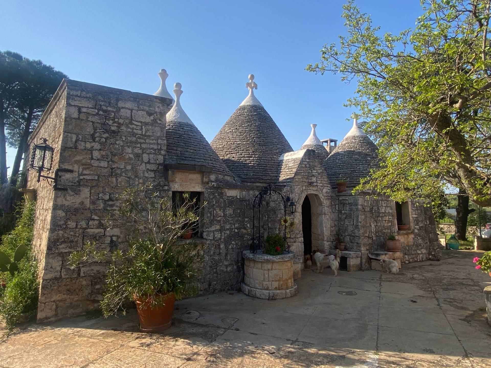 Rustico in vendita a Cisternino, Sisto