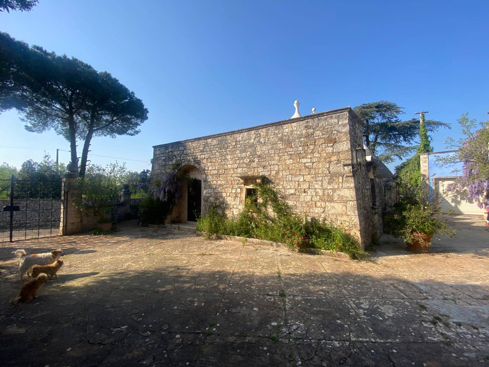 Rustico in vendita a Cisternino, Sisto