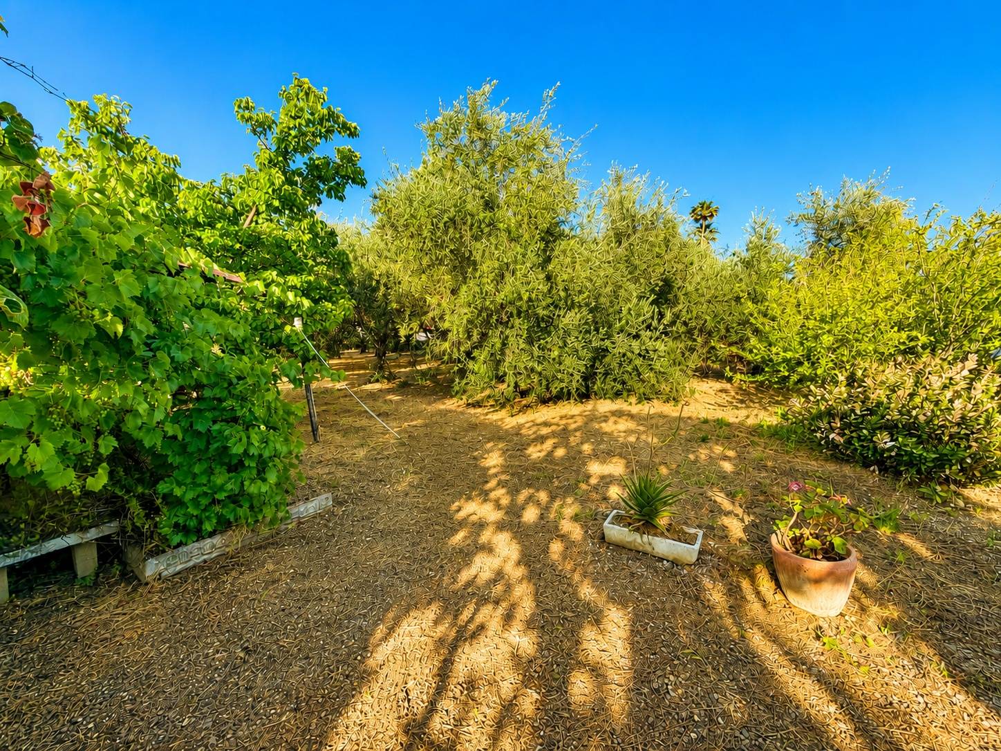 Casa singola in vendita a Albenga, Campochiesa