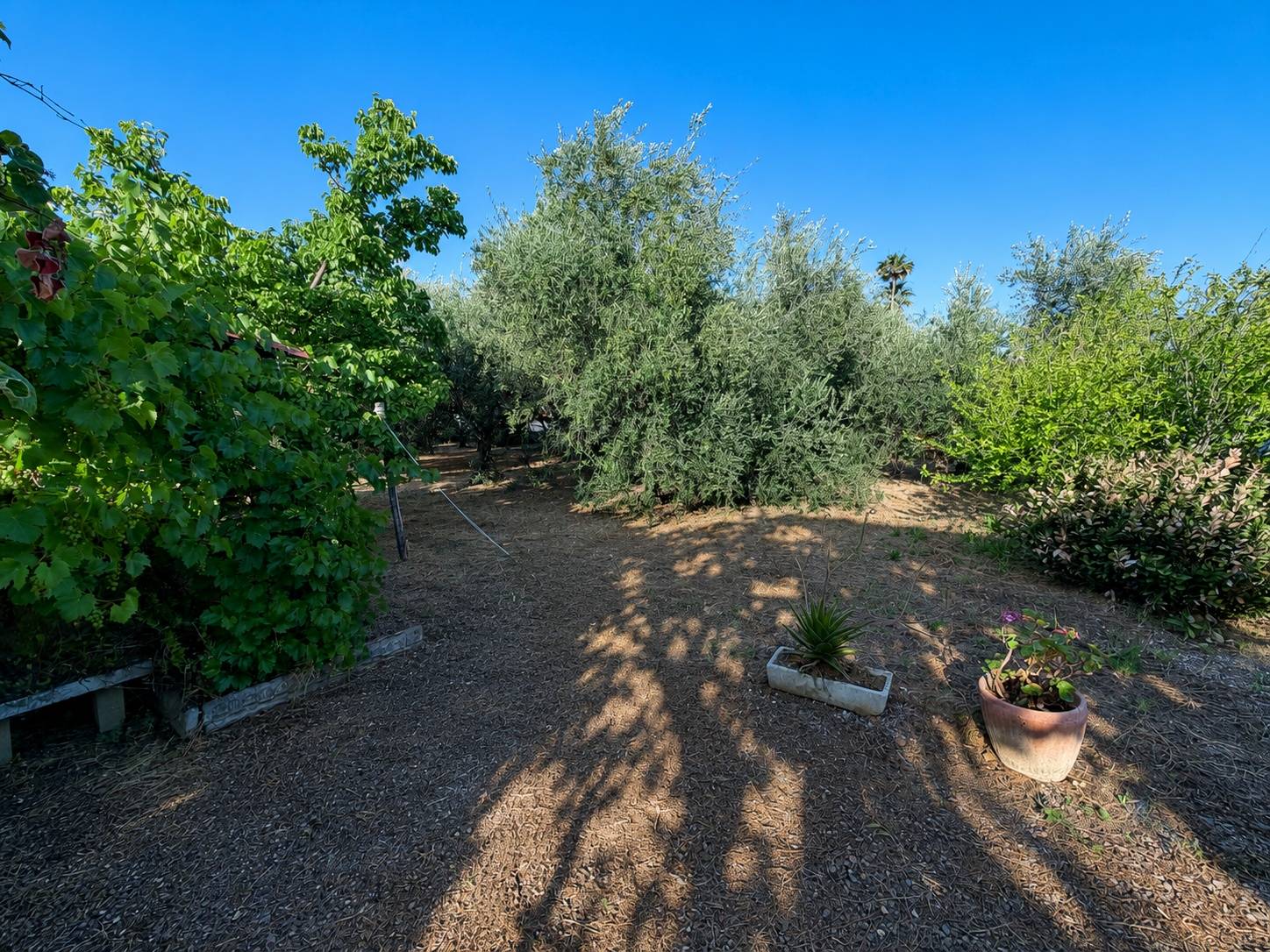 Casa singola in vendita a Albenga, Campochiesa